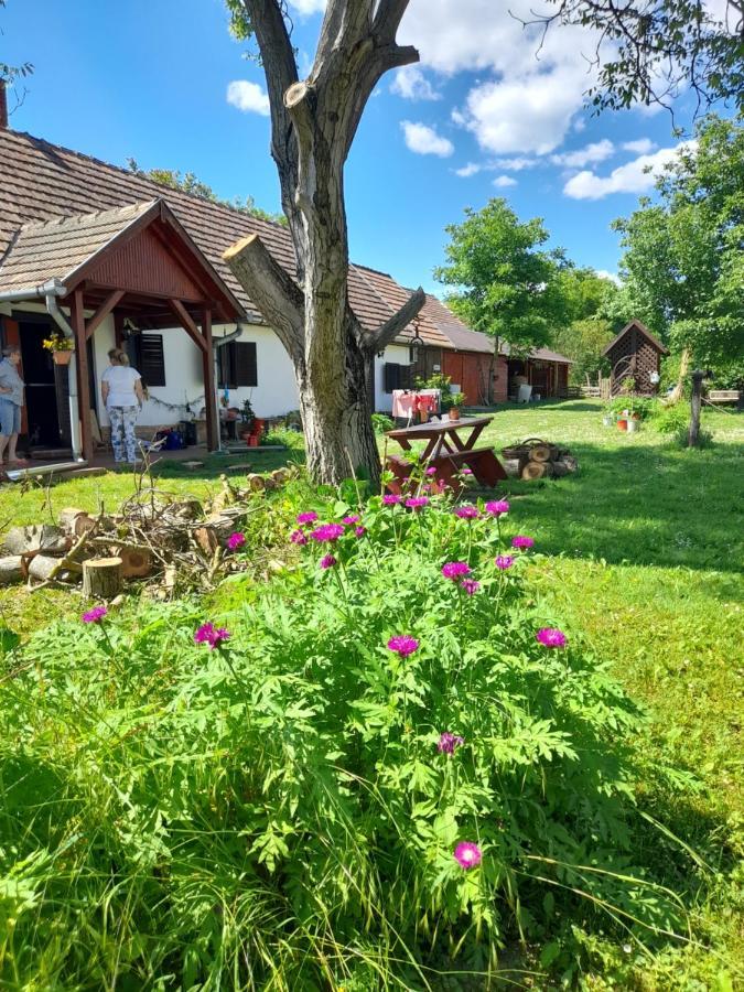 Harmat Porta Villa Galambok Dış mekan fotoğraf